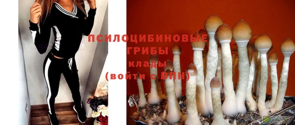 PSILOCYBIN Абаза