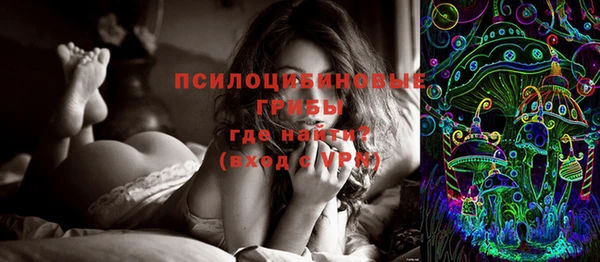 PSILOCYBIN Абаза