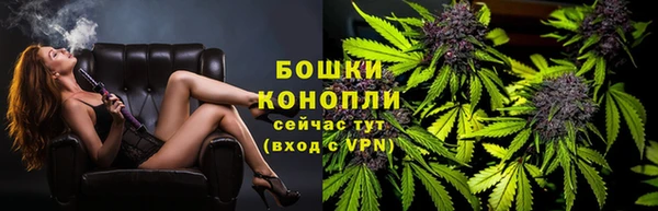 PSILOCYBIN Абаза