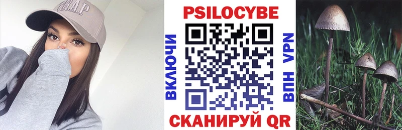 Псилоцибиновые грибы MAGIC MUSHROOMS  Сольцы 