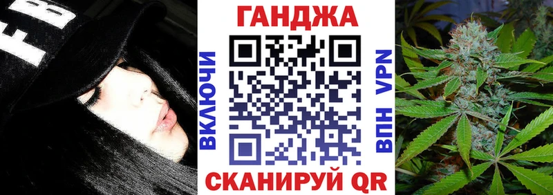 Конопля гибрид Сольцы